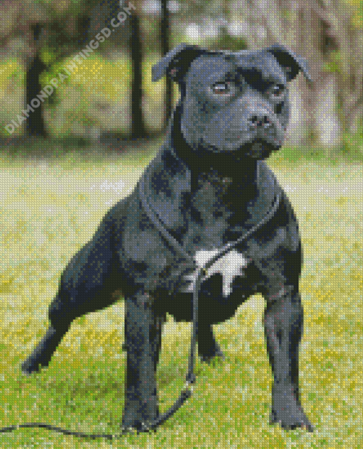 Aesthetic Black Staffy Diamond Paintings