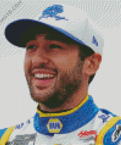 Aesthetic Chase Elliott Diamond Paintings