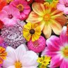 Aesthetic Country Flowers Diamond Paintings