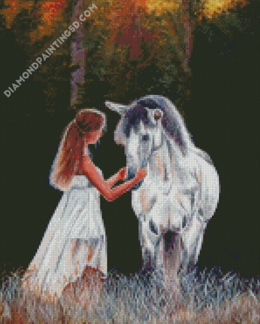 Aesthetic Girl And White Horse Diamond Paintings