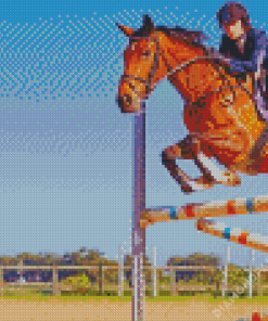 Aesthetic Horse Jump Diamond Paintings