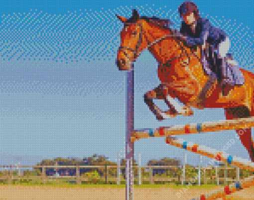 Aesthetic Horse Jump Diamond Paintings