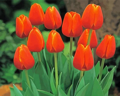 Aesthetic Orange Tulips Diamond Paintings