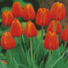 Aesthetic Orange Tulips Diamond Paintings