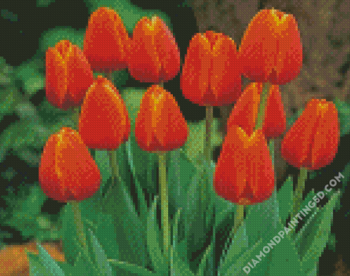 Aesthetic Orange Tulips Diamond Paintings