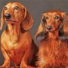 Aesthetic Red Dachshund Diamond Paintings