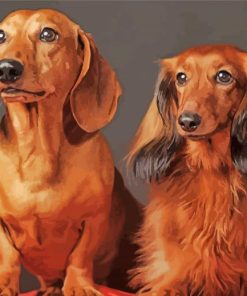 Aesthetic Red Dachshund Diamond Paintings