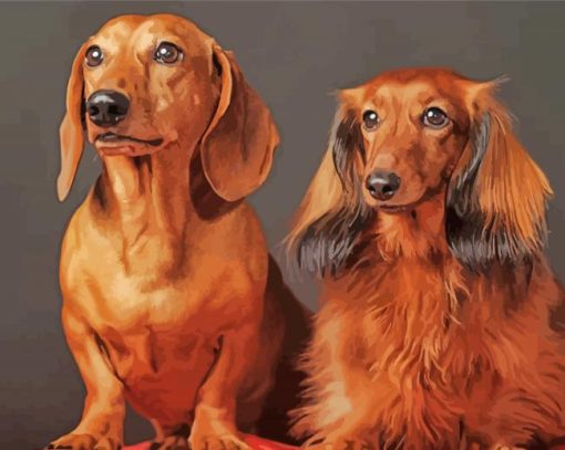 Aesthetic Red Dachshund Diamond Paintings