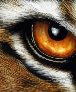 Aesthetic Tiger Eyes Art Diamond Paintings