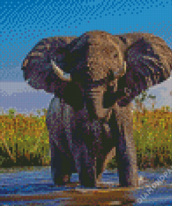 African Elephant In Water Diamond Paintings