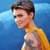 Australian Ruby Rose Diamond Paintings