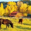 Barn And Horses in Autumn Diamond Paintings