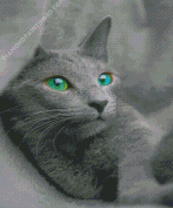 Beautiful Russian Blue Cat Diamond Paintings