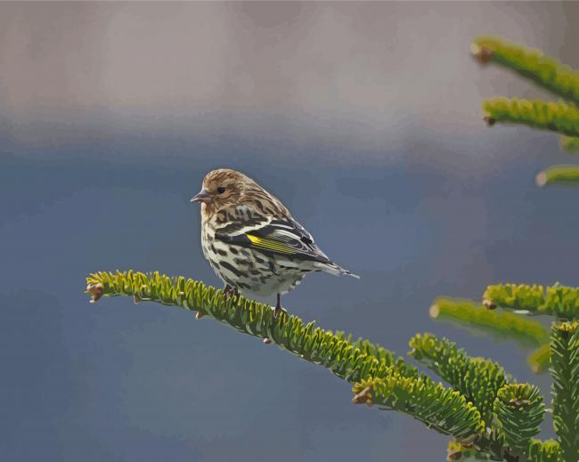 Bird On Balsam Fir Diamond Paintings