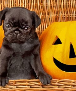 Black Halloween Pug Diamond Paintings