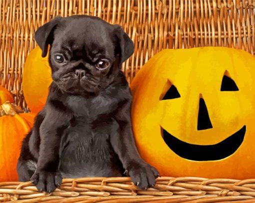 Black Halloween Pug Diamond Paintings