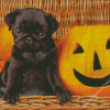 Black Halloween Pug Diamond Paintings