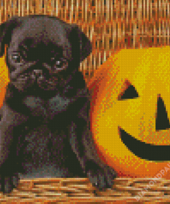 Black Halloween Pug Diamond Paintings