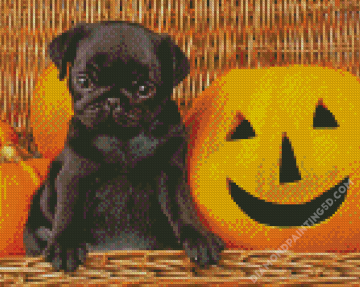 Black Halloween Pug Diamond Paintings