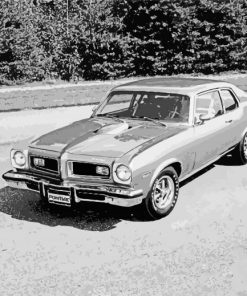 Black And White 1974 GTO Diamond Paintings