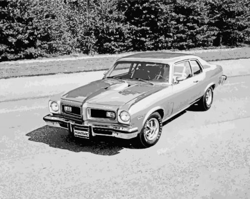 Black And White 1974 GTO Diamond Paintings