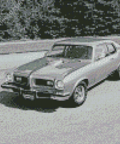 Black And White 1974 GTO Diamond Paintings