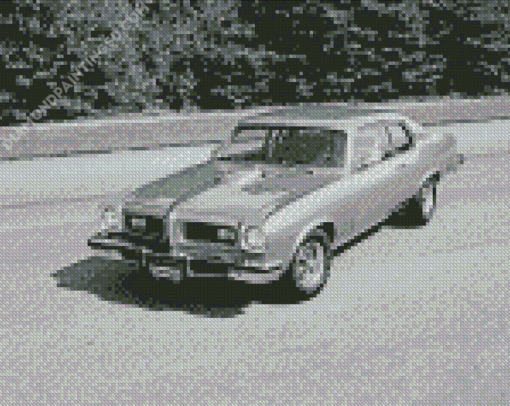 Black And White 1974 GTO Diamond Paintings