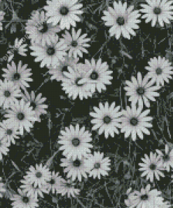 Black And White Flowers Diamond Paintings