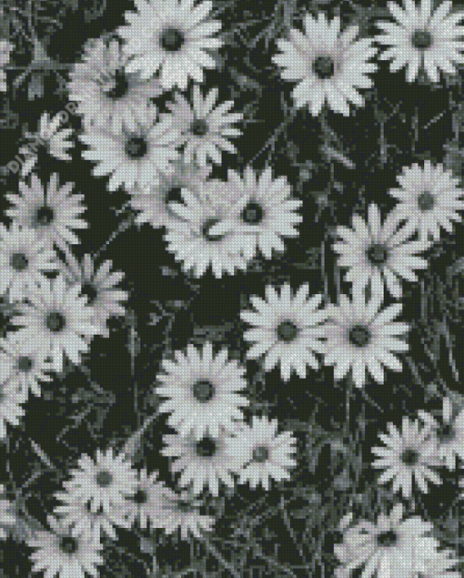 Black And White Flowers Diamond Paintings