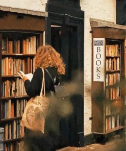 Book Shop Art Diamond Paintings