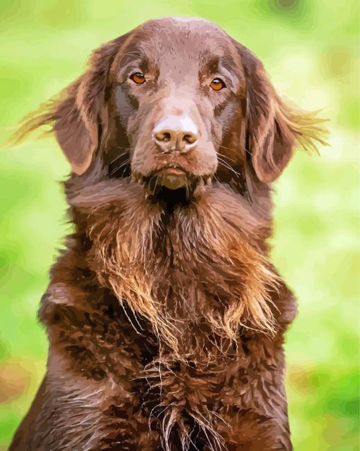 Brown Flat Coated Retriever Diamond Paintings