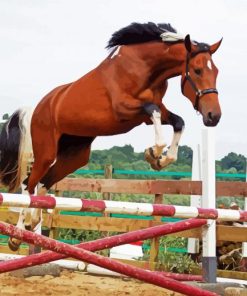 Brown Horses Jumping Diamond Paintings