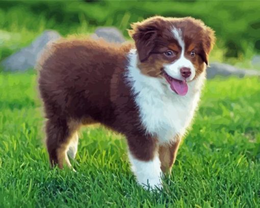 Brown Toy Aussie Diamond Paintings