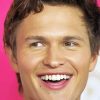 Cute Ansel Elgort Diamond Paintings