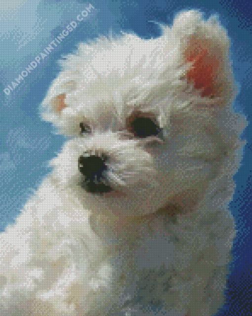 Cute Maltese Dog Puppy Diamond Paintings