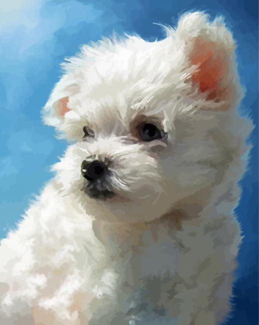 Cute Maltese Dog Puppy Diamond Paintings