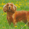 English Cocker Spaniel Dog Diamond Paintings