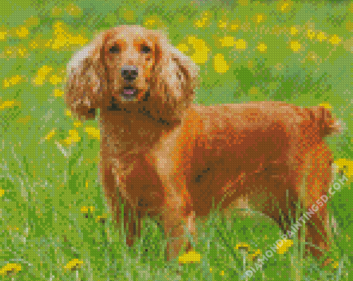 English Cocker Spaniel Dog Diamond Paintings