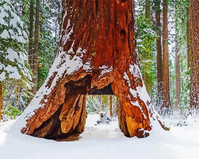 Giant Sequio In Winter Diamond Paintings