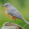 Gray And Brown Bird On Brown Log Diamond Paintings