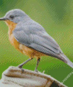 Gray And Brown Bird On Brown Log Diamond Paintings