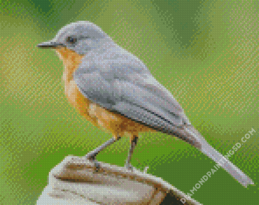 Gray And Brown Bird On Brown Log Diamond Paintings