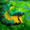 Green Siamese Fighting Fish Diamond Paintings