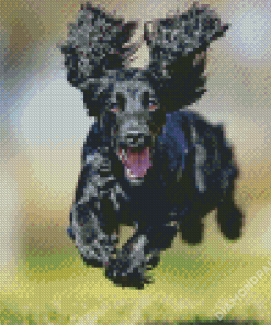 Happy Black Cocker Spaniel Diamond Paintings