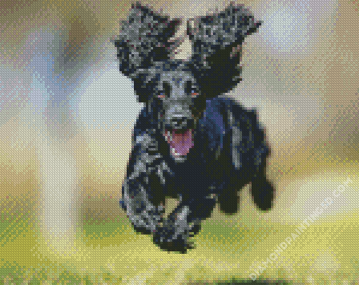 Happy Black Cocker Spaniel Diamond Paintings