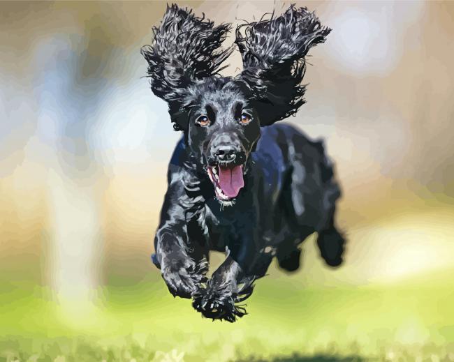 Happy Black Cocker Spaniel Diamond Paintings