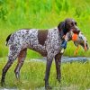 Hunter Germain Shorthaired Dog Diamond Paintings