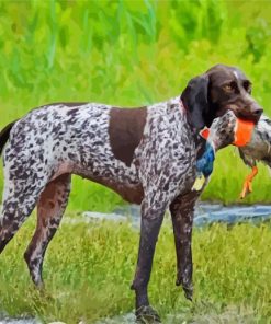 Hunter Germain Shorthaired Dog Diamond Paintings