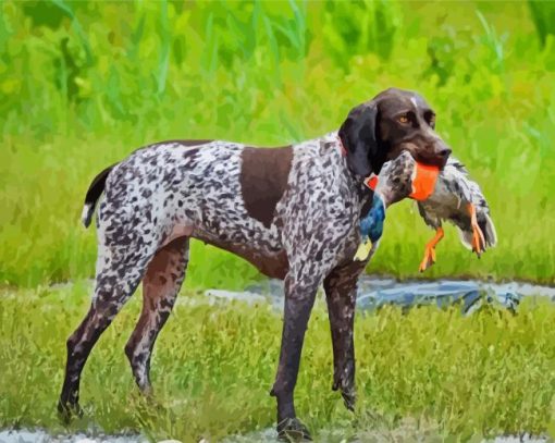 Hunter Germain Shorthaired Dog Diamond Paintings