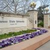 Kansas State University Diamond Paintings